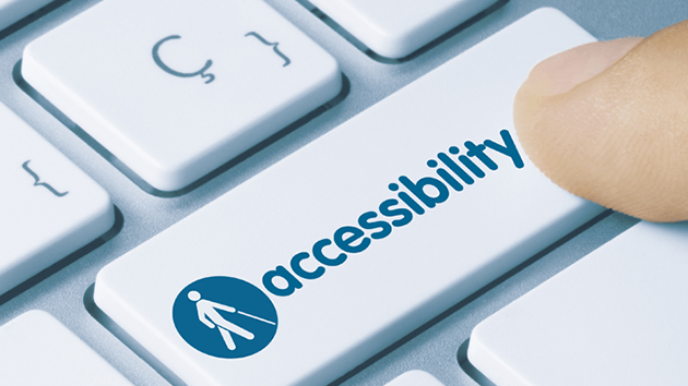 Accessibility for Avenga website