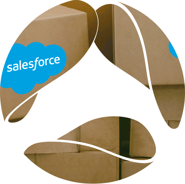 Packages in Salesforce