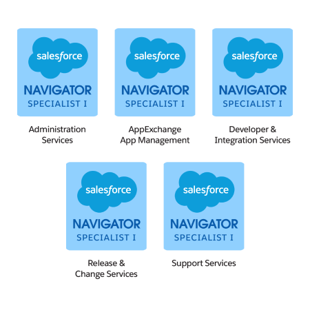 Salesforce Managed Service Specializations