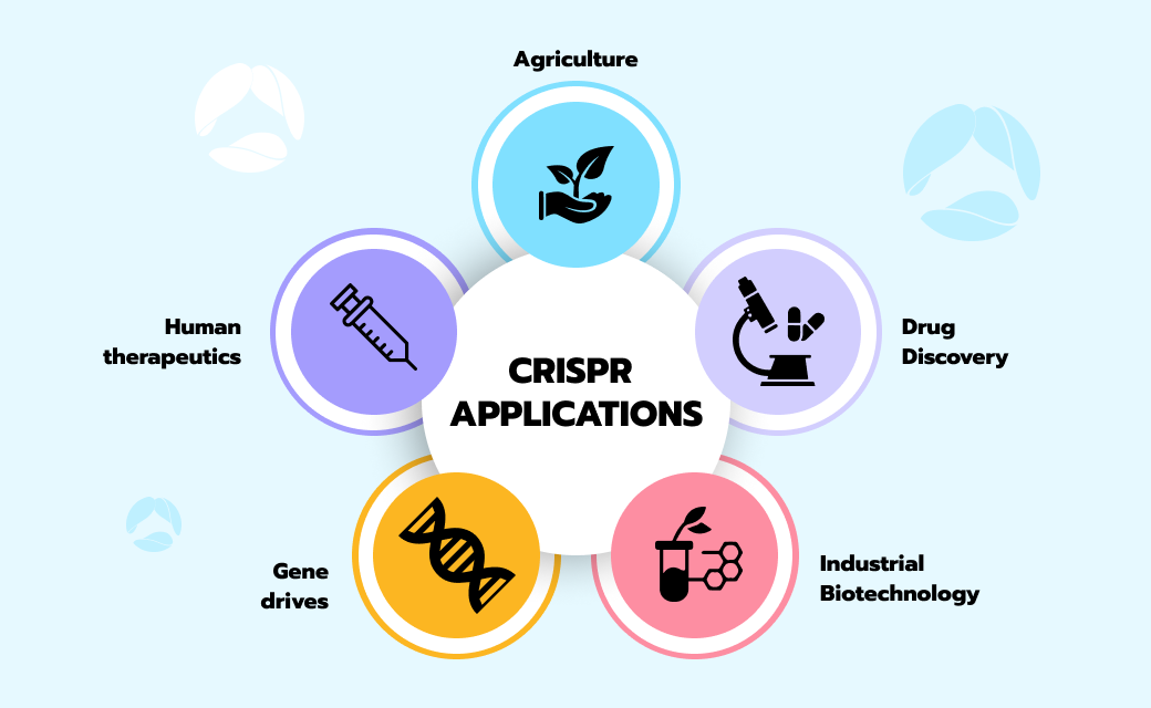 CRISPR applications in medicine 