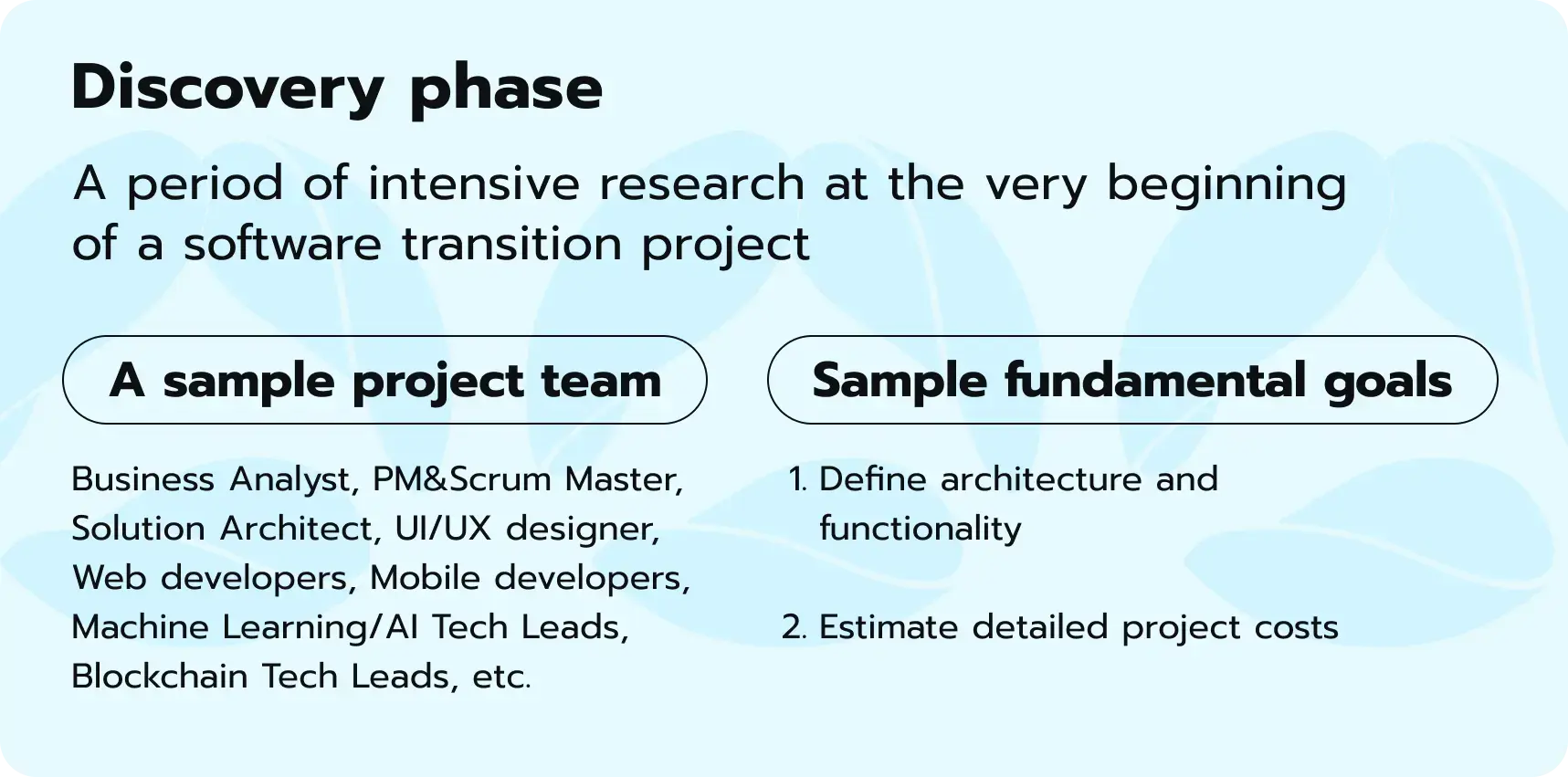 Discovery phase as a part of software transition