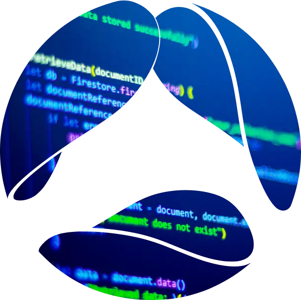 Programming Language