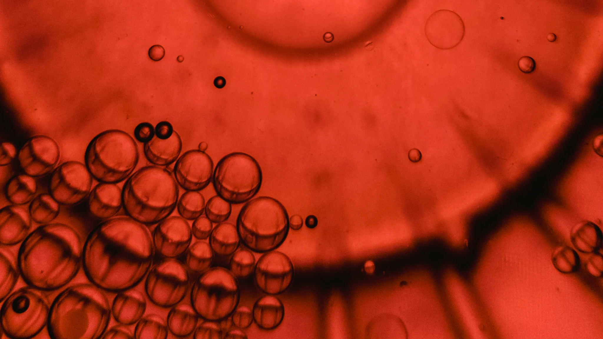 Biopharma Trends 2024, Midyear Update: What Is Relevant As Of June-July 2024 15 Biopharma Trends 2024, Midyear Update: What Is Relevant As Of June-July 2024