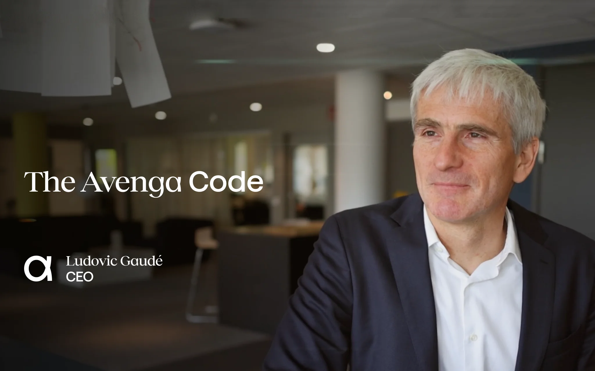 The Avenga Code 