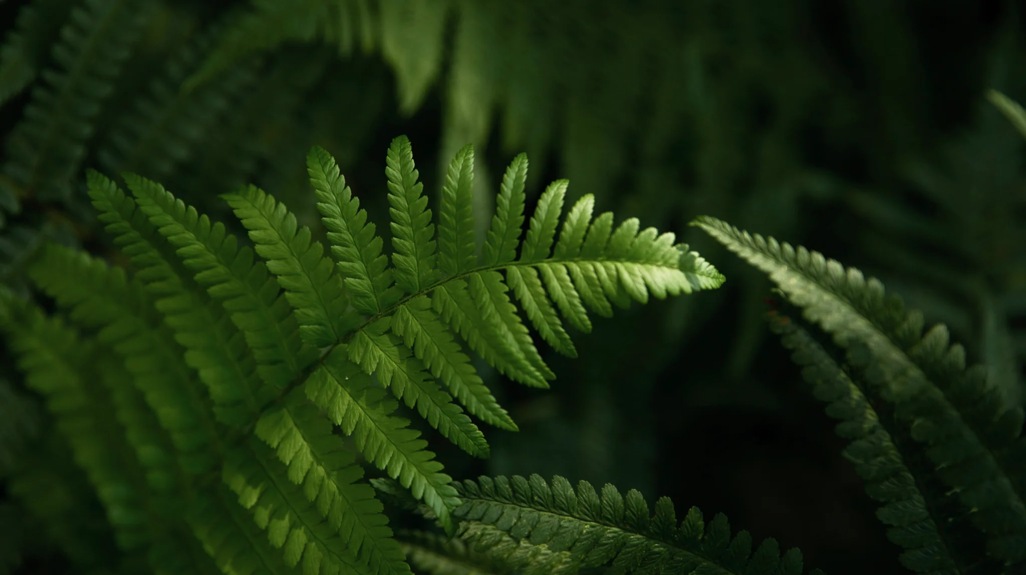 Shifting Sustainability Reporting from Burden to Benefit