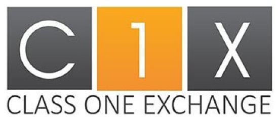 C1X logo inside - Avenga