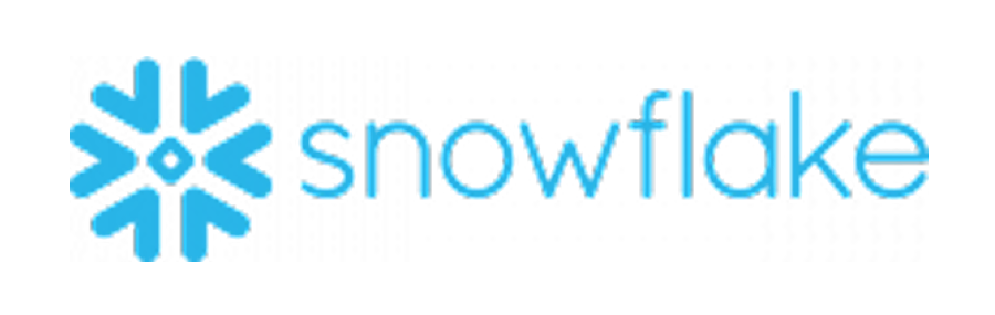 logo snowflake 1 - Avenga