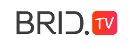 logoski bridtv - Avenga