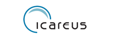 logoski icareus - Avenga