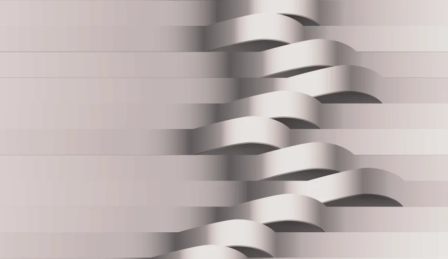 Gap analysis and roadmap - Avenga