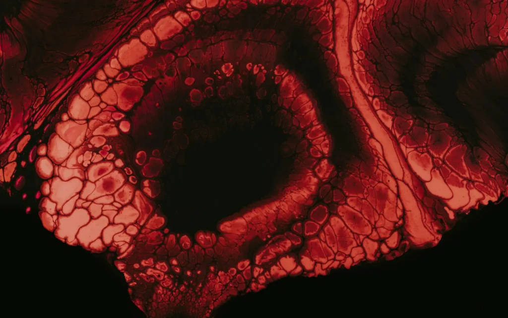 Biopharma outsourcing - Avenga