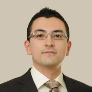 Dejan Talevskі - Avenga