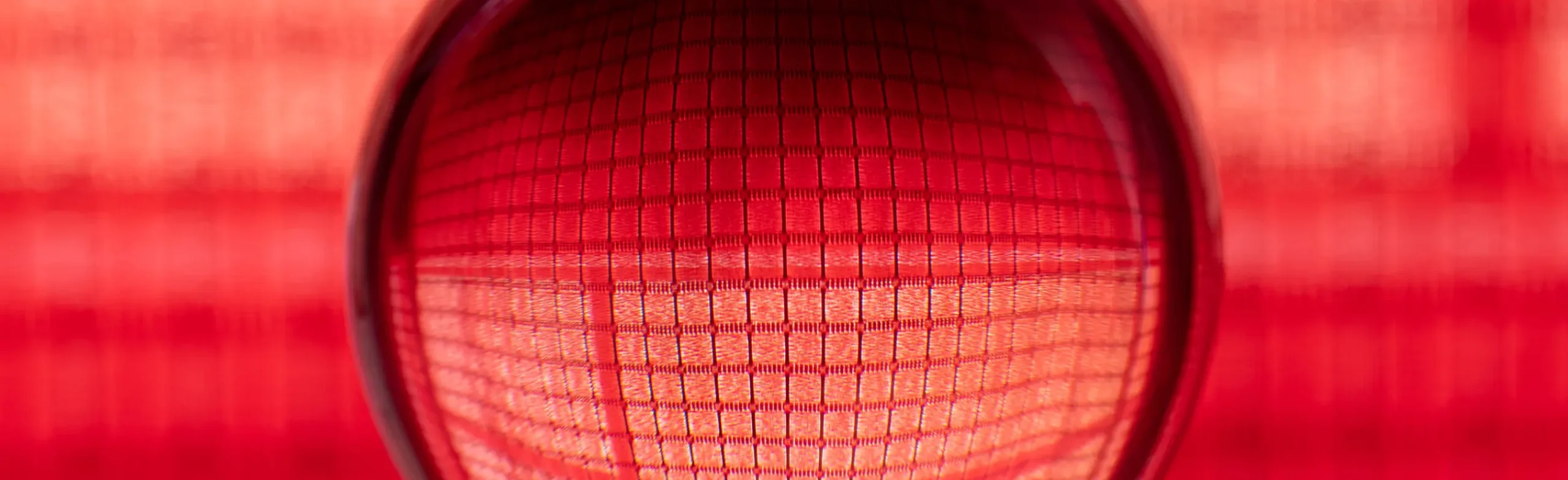 Mission scaled - Avenga