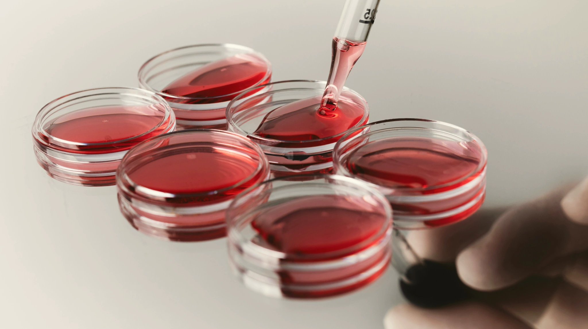 From fragmentation to unification: how life sciences is becoming a connected ecosystem