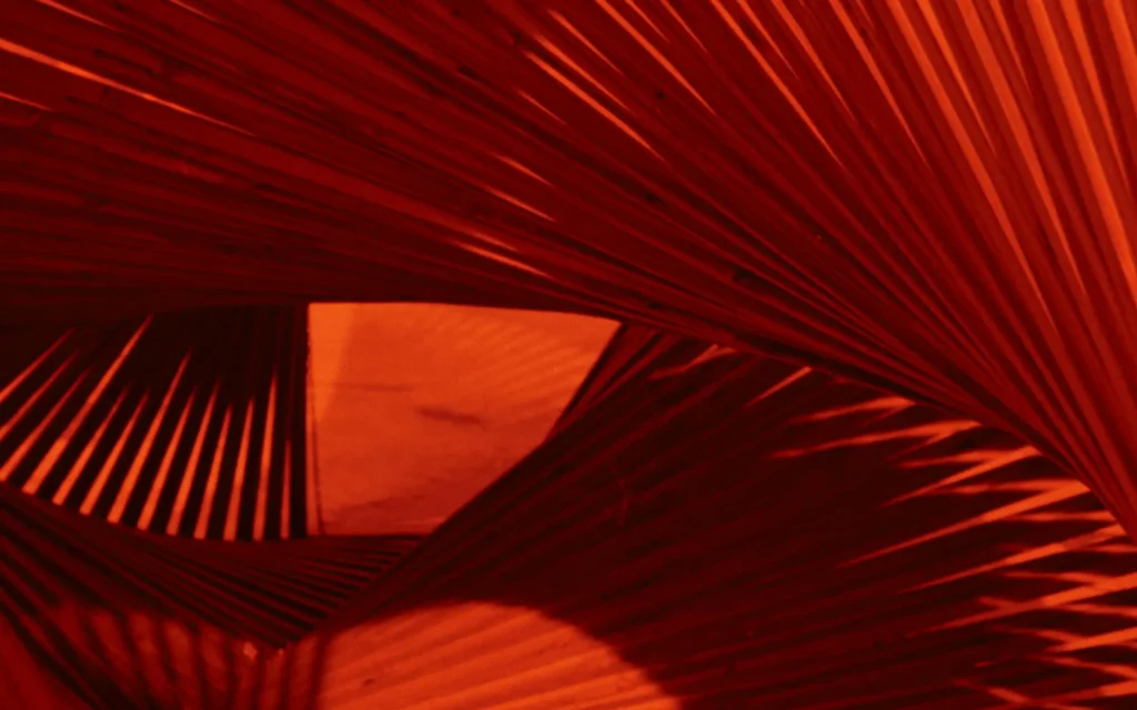 L3 Service AI in AdTech ML model development integration - Avenga