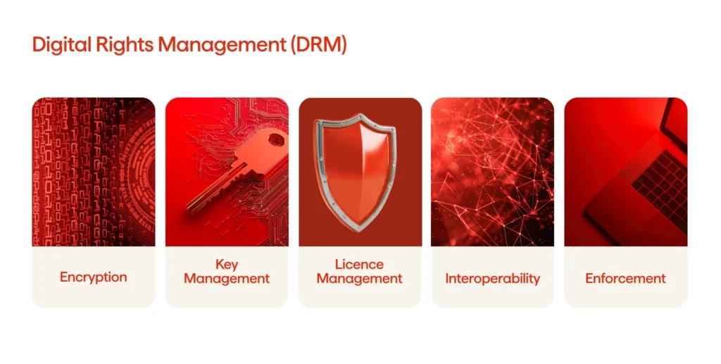 An image illustrating DRM’s key elements