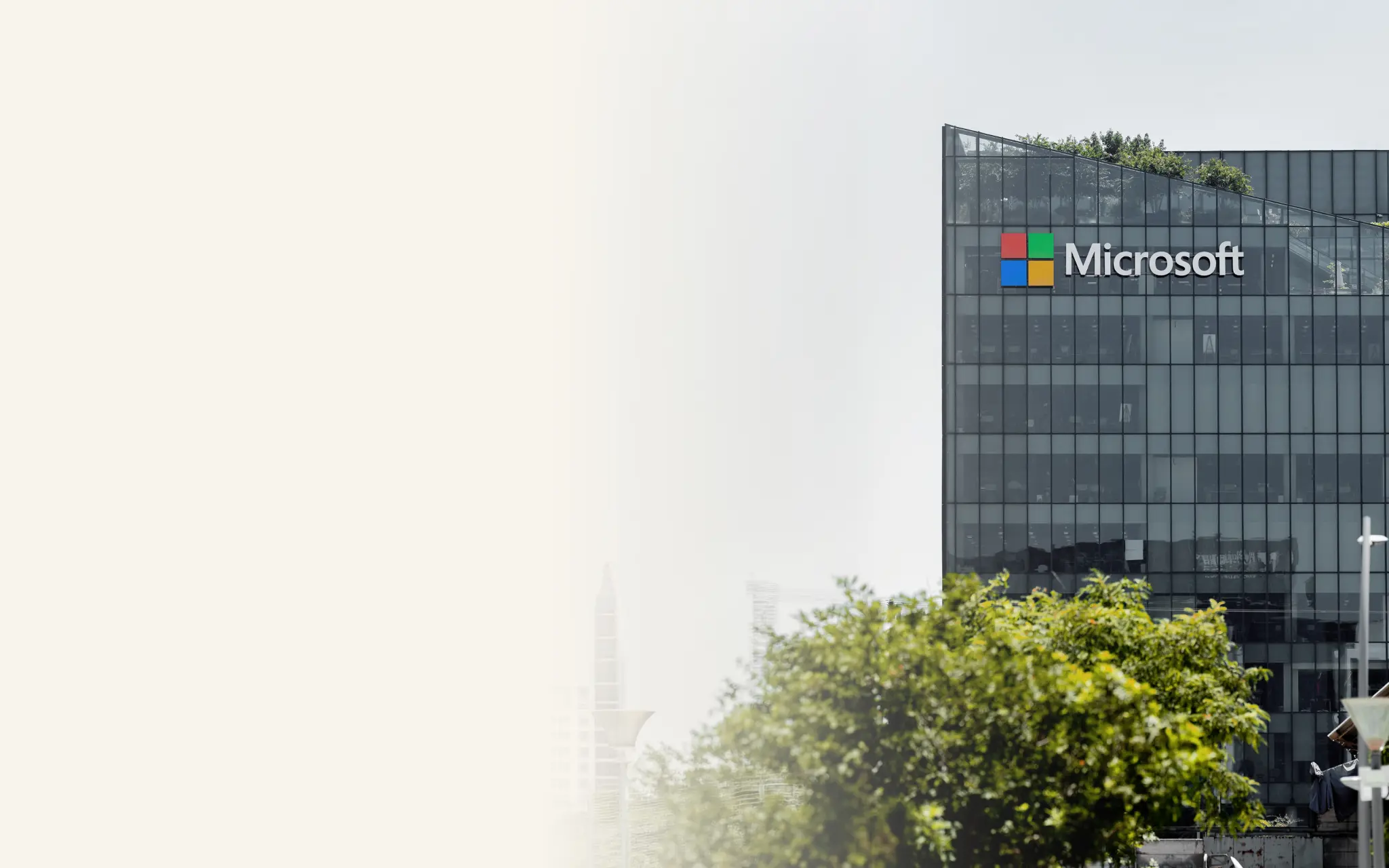 Microsoft consulting and development services
