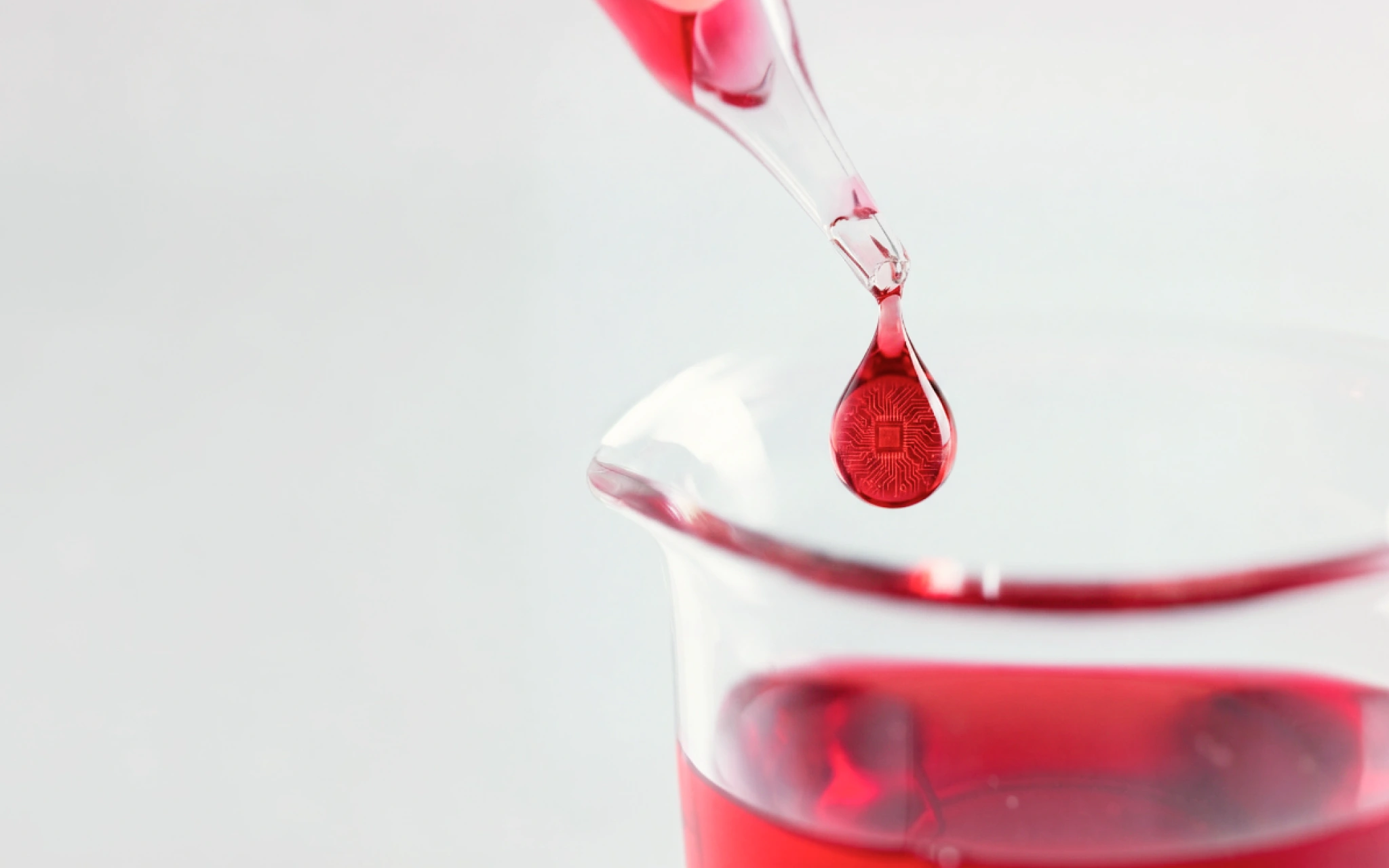 Life Sciences Commercialization Focus - Avenga