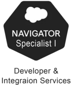 developer - Avenga
